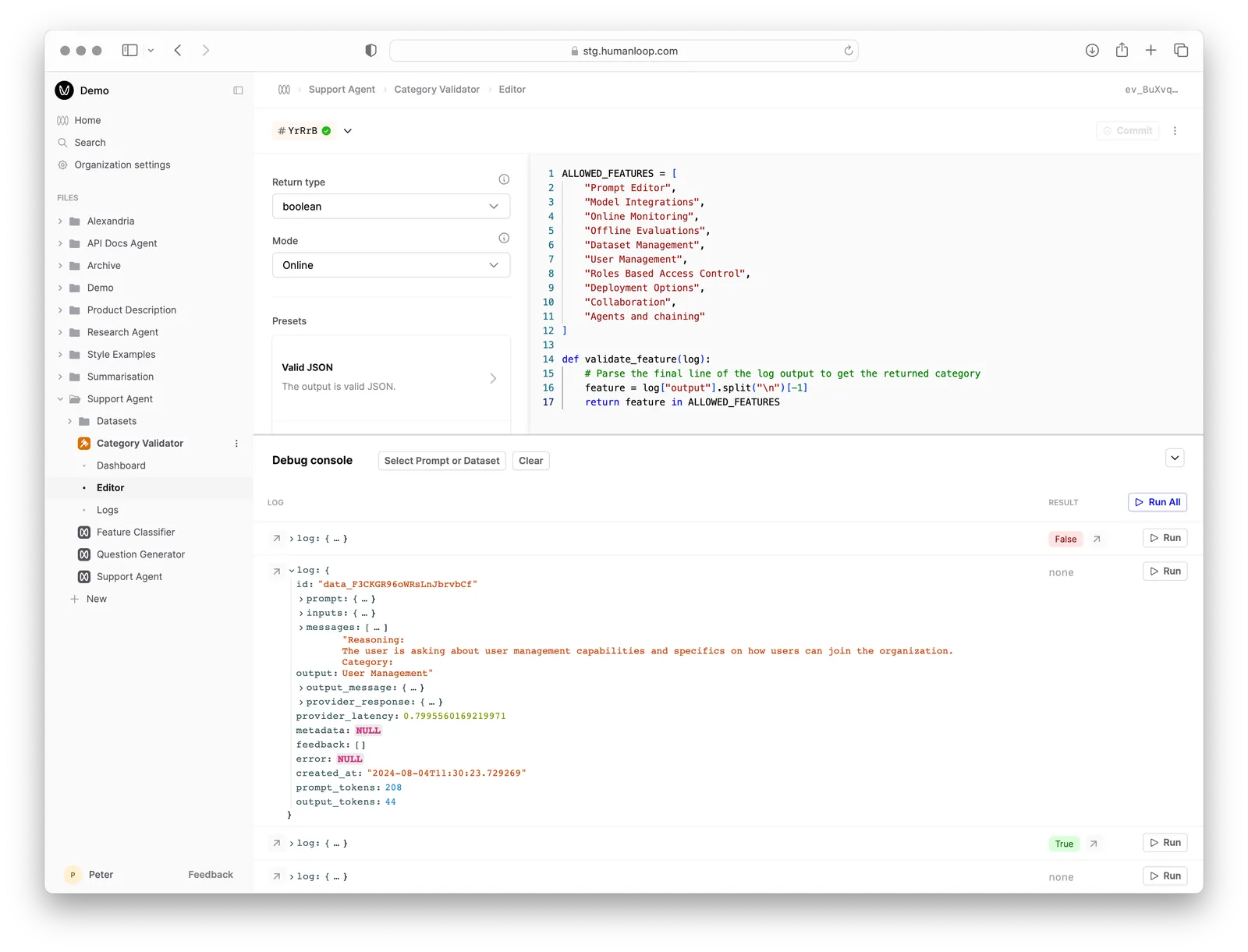 The debug console for testing the code.